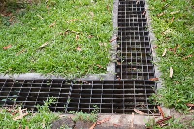 Install Yard Drains
