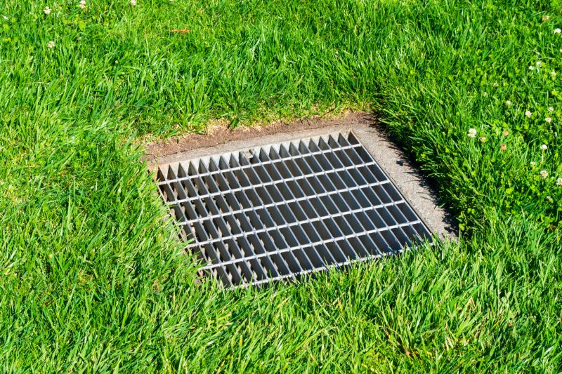 Improves soil stability and landscape health.