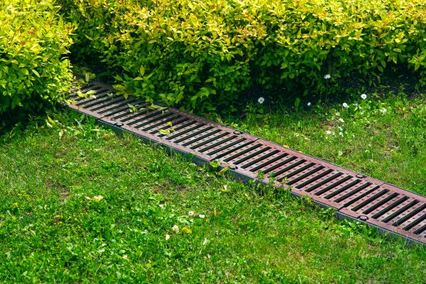 Improves lawn health and soil stability.