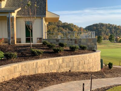 Enhances landscape design and curb appeal.